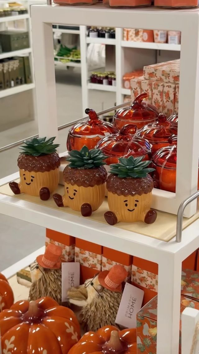 okkkk @primark did NOT come to play with the autumn home collection this year 😭🍂🤎pumpkins, cosy mugs & autumnal homeware EVERYWHERE… honestly we need the lot 🤭🎃autumn girls, this is your sign to RUN 🏃🏼♀️🍂#primark #primarkhome #autumnhome #autumndecor #autumnfinds